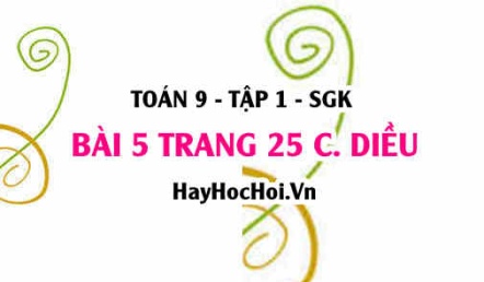 Bài 5 trang 25 Toán 9 tập 1 Cánh Diều
